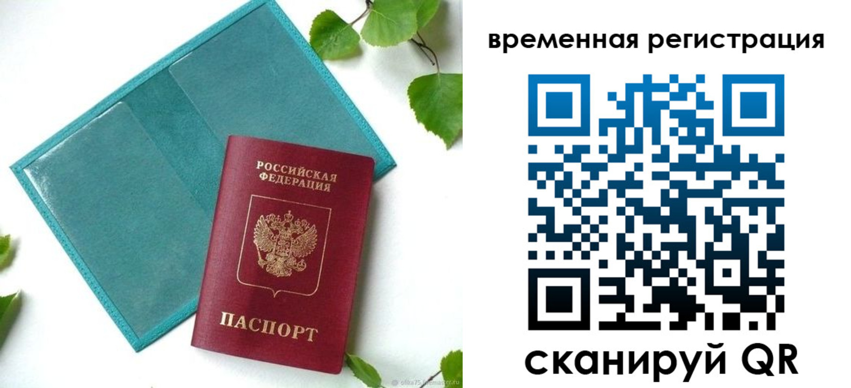 прописка иностранных граждан в Цимлянске